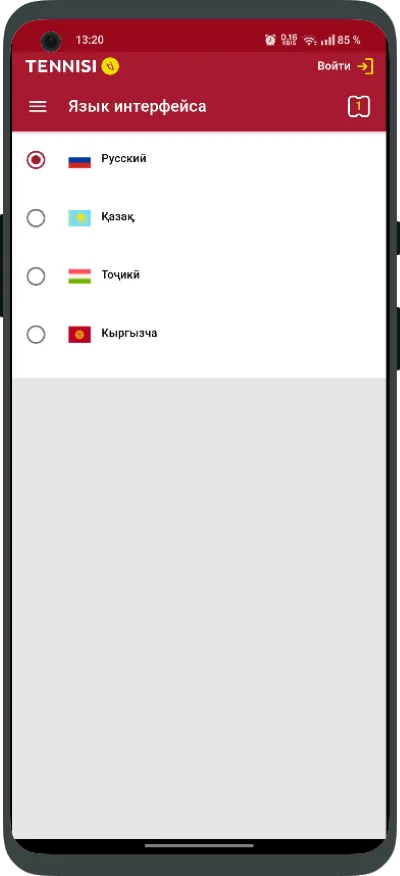 Выбор языка приложения