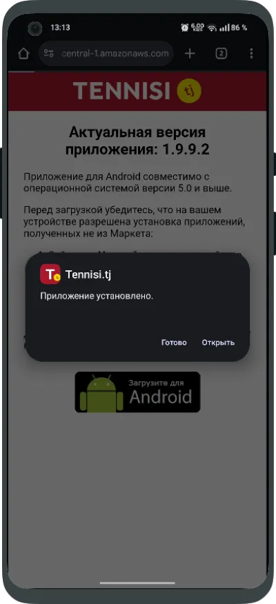Нажав «Открыть» запустится Тенниси ТЧ