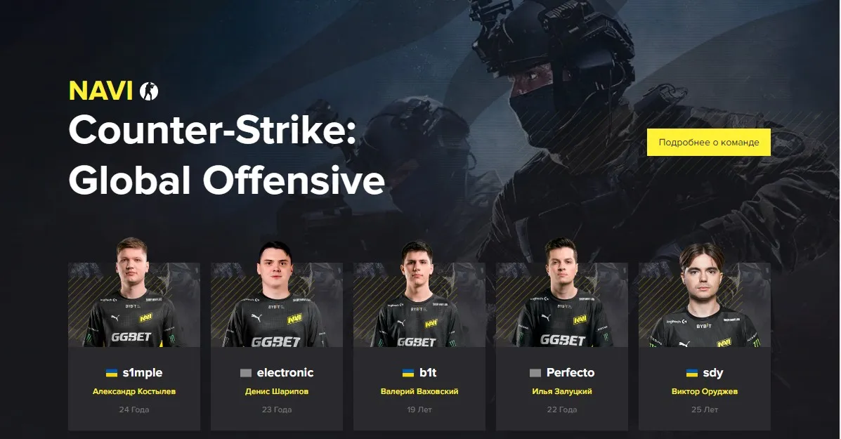 Официальный сайт Natus Vincere