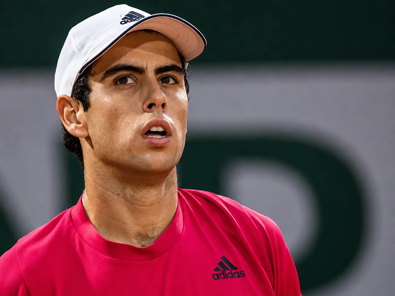 Бергс – Мунар прогноз и ставки на матч ATP Истбурн 22 июня 2026 года