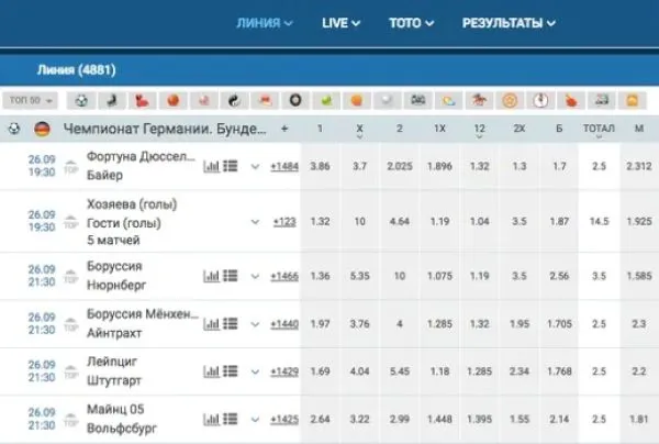 Как правильно делать ставки на 1xbet