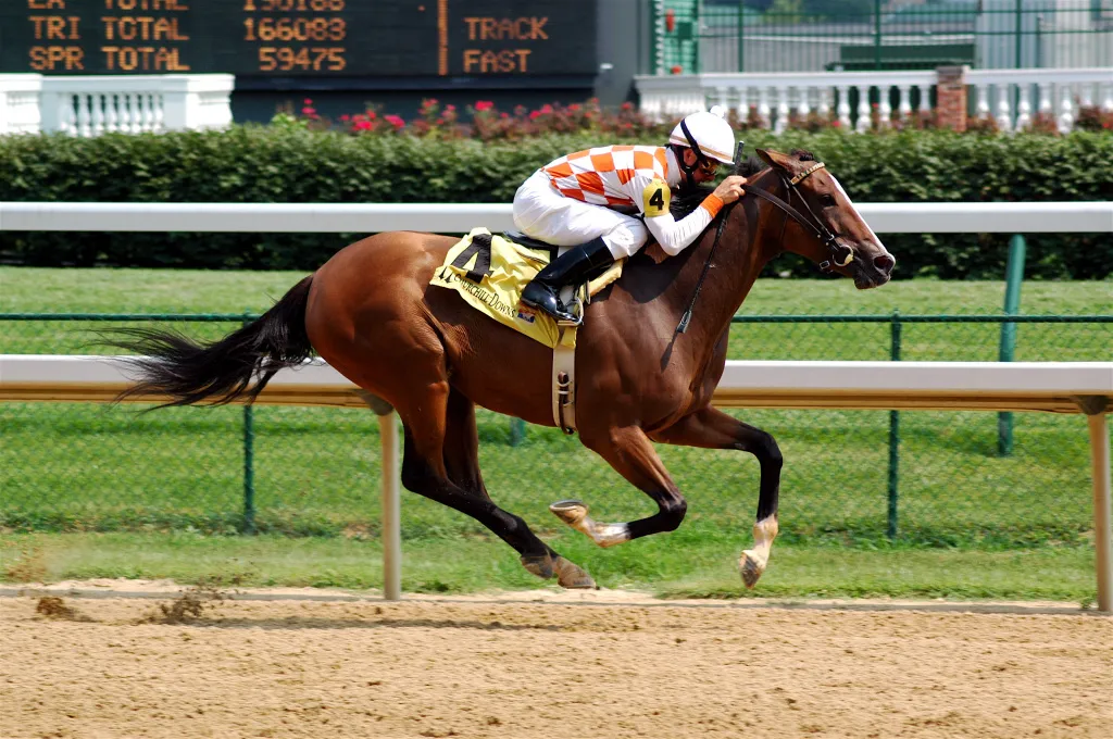 Horseracing_Churchill_Downs.jpg