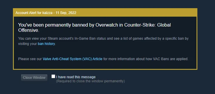 Игрок команды из топ-71 HLTV получил бан в CS:GO из-за патруля