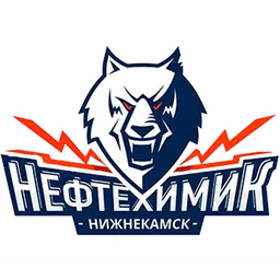 ХК Нефтехимик