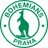 Богемианс 1905