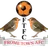 Фрум Таун