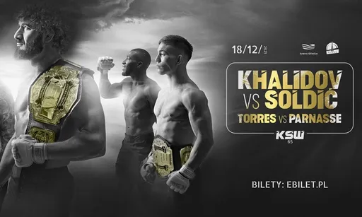 Кровь и мясо KSW. Самая жесткая европейская лига 18 декабря на российском ТВ: Мамед Халидов — Роберто Солдич
