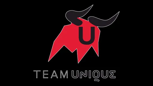 СЕО Team Unique: Киев, похоже, единственное место в мире, где можно провести TI этим летом