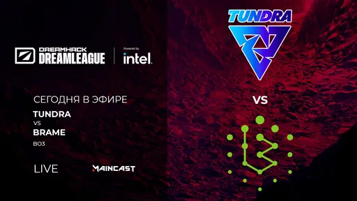 Tundra Esports — Brame Esports: обзор и яркие моменты матча верхнего дивизиона Европы