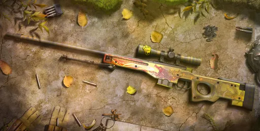 Коллекционеры из Китая купили скинов CS:GO на сумму в 775 тысяч долларов — это новый рекорд
