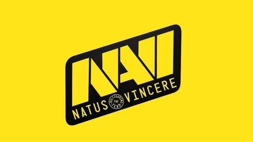 NAVI вышли в плей-офф ESL Pro League Season 13