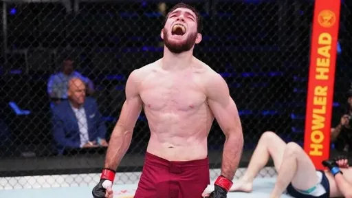 Непобежденный таджикистанец Алиев подерется на турнире UFC в Катаре с англичанином Роком