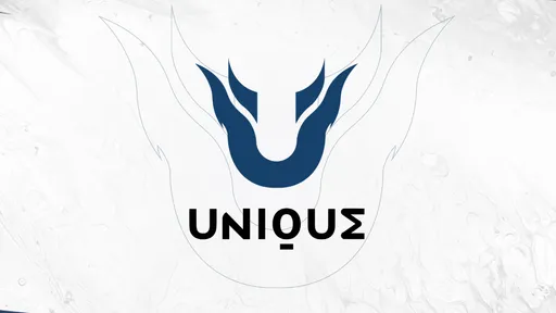 Team Unique расформировала состав по Dota 2