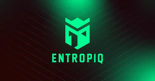 Entropiq покинула квалификацию к IEM Road to Rio 2022
