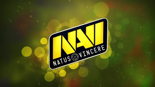 Swedenstrong: я доволен результатами NaVi