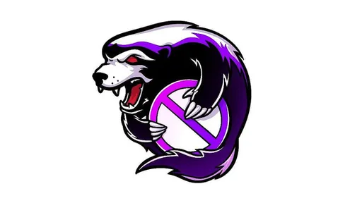 CEO Virtus.pro рассказал кто придумал название OutSiders