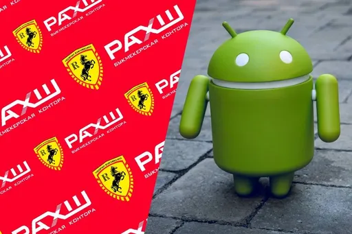 БК Рахш ТЧ: как делать ставки на спорт через приложение