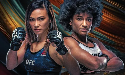 UFC Fight Nights 13 сентября: Мишель Уотерсон – Анджела Хилл