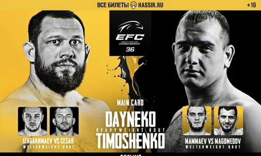 Eagle FC 36 в Казани 29 мая: где смотреть и что будет интересного