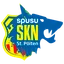 Team logo