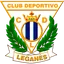 Team logo
