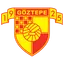 Team logo