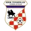 Team logo