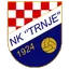 Team logo