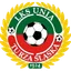 Team logo
