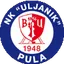 Team logo