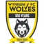 Team logo