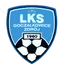 Team logo