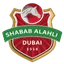 Team logo