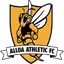 Team logo