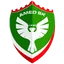 Team logo