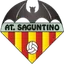 Team logo