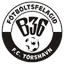Team logo