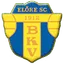 Team logo