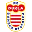 Team logo