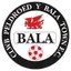 Team logo