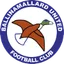 Team logo