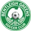 Team logo