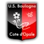 Team logo