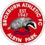 Team logo