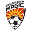 Team logo