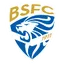 Team logo