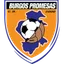 Team logo