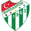 Team logo