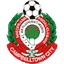 Team logo