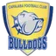 Team logo